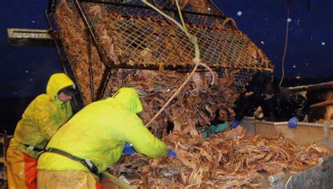 Crabs Fishing Jobs, Employment .